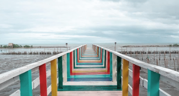 Դասերը, որ քաղել եմ